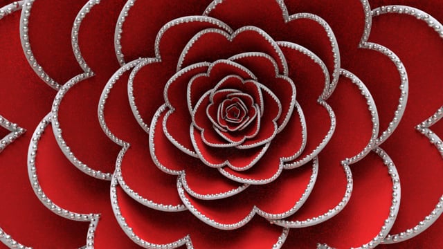 Phyllotactic Pattern video