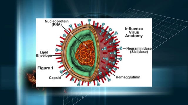 Flu: The Smart Virus