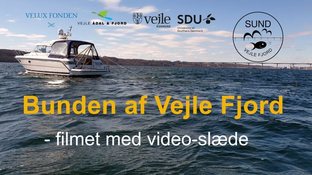 Bunden af Vejle Fjord kortlagt