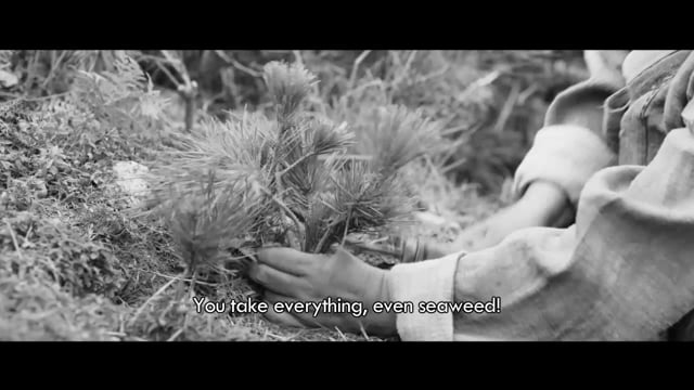 The Book of Fish_EN_Trailer
