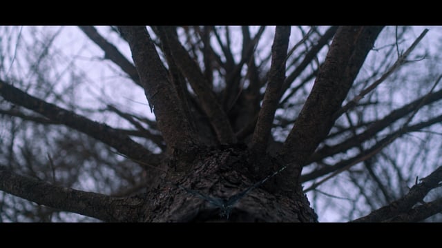 BLUE FiRE Official Trailer 2