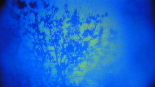 Homo Sapiens Project (201) (2002-2021) / VOD