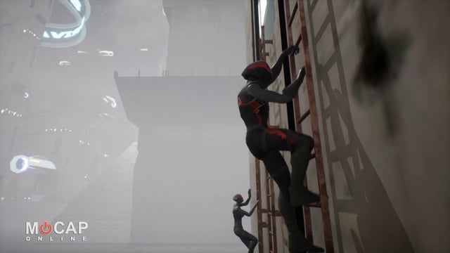 Product Overview: Ladder Climbing 3D Character Animation Pack