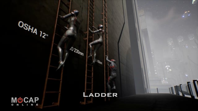 Animation Clip: Ladder Climbing ~ MoCap Pack