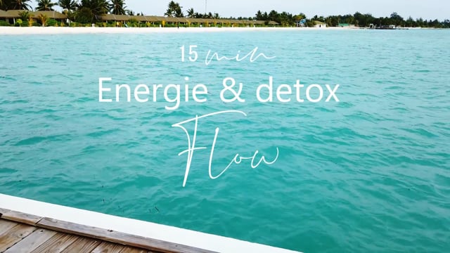 Yoga Detox & Énergie
