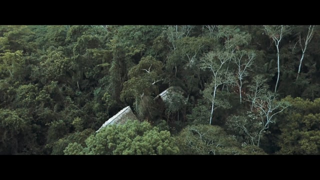 Sweet Songs Jungle Lodge Belize video 1