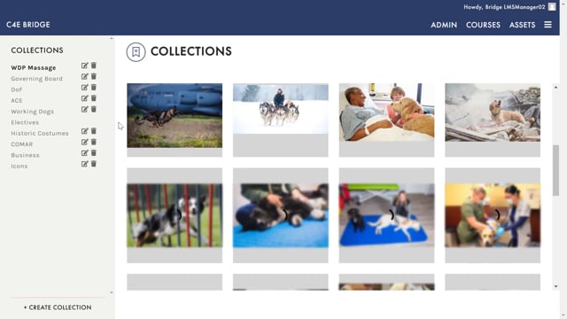 collections thumbnail