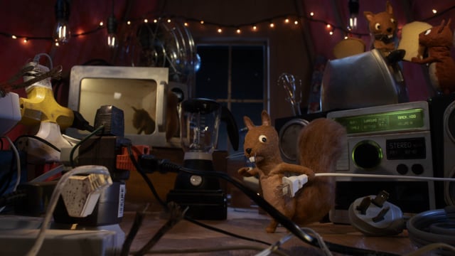 Squirrels