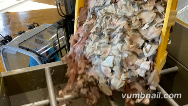 Fish Processing with the TASKMASTER® 2300