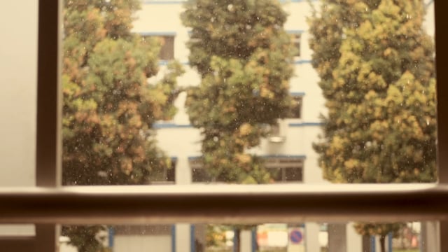 [Trailer] partitions (2021)