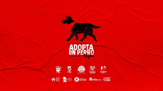 ⁣#AdoptABlackDog