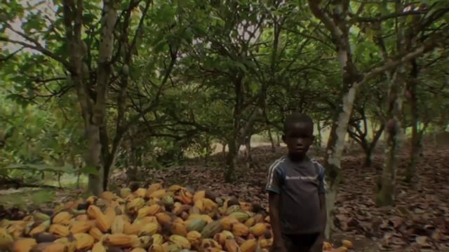 Illegal child labour in the Ivory Coast - Shady Chocolate