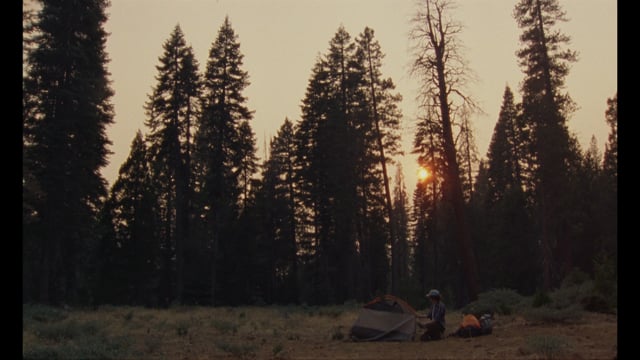 Wanna Go Camping? // TRAILER