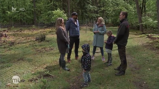 hr-fernsehen – maintower (Video)