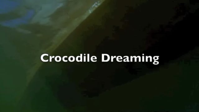 Crocodile Dreaming