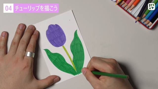 チューリップを描こう