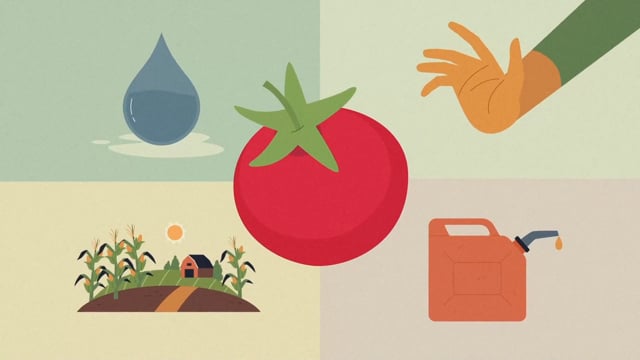 ACIR / Food Waste Programme