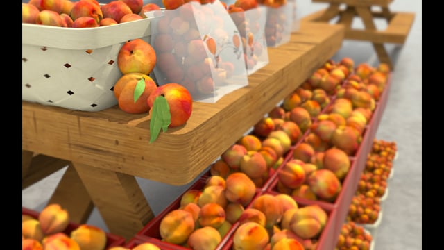 Spring 21 (Virtual-Hybrid) Quarter — Fowler