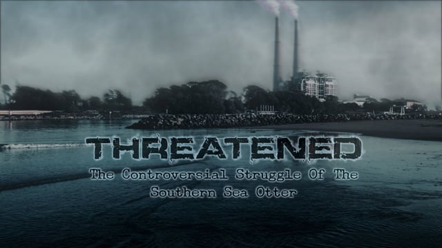 Threatened:  The Controversial Struggle Of The Southern Sea Otter