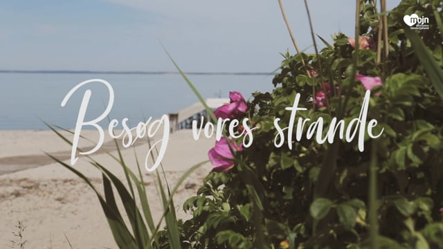 Strandene i Sønderjylland