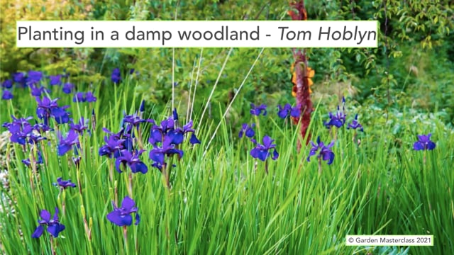 Tom Hoblyn – Planting a Damp Woodland
