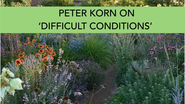 Peter Korn – Positive Thinking about Difficult Conditions