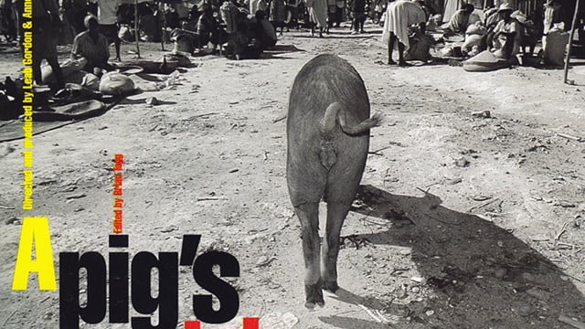A Pig's Tale