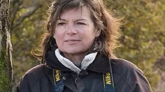 Andrea Jones’ Desert Island Gardens