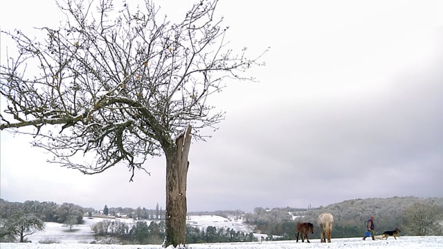 After Winter, Spring Trailer