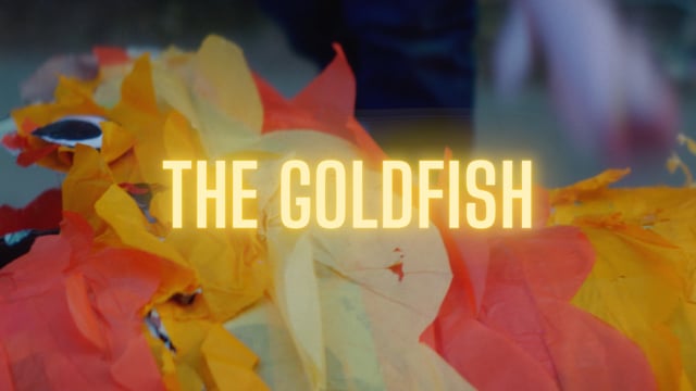 The Goldfish (2021) / Trailer