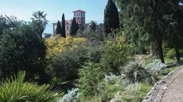 Lorenza Figari’s Desert Island Gardens