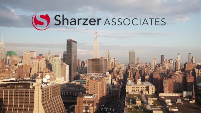 Explainer Video – Sharzer Associates