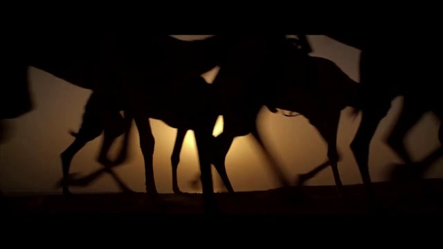 Qatar National Day: Young Sons of the Desert - Trailer