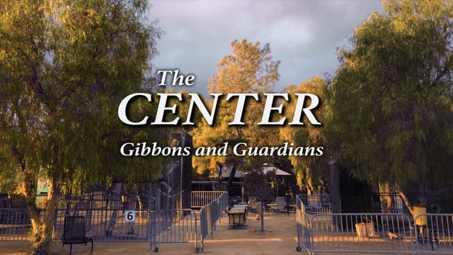 The CENTER: Gibbons and Guardians - Trailer #1