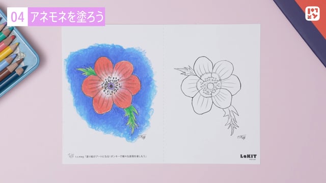 アネモネを描こう