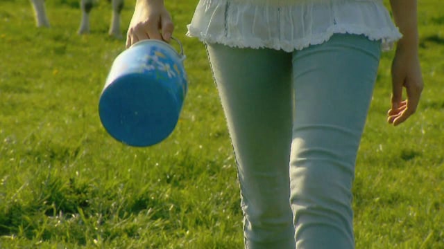 Vimeo video
