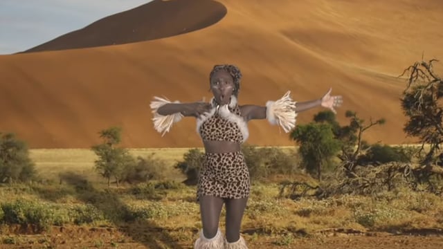 Zulu Warrior