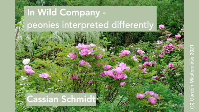 Cassian Schmidt – Peonies in Wild Company