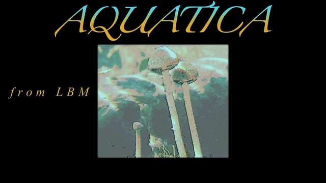 AQUATICA