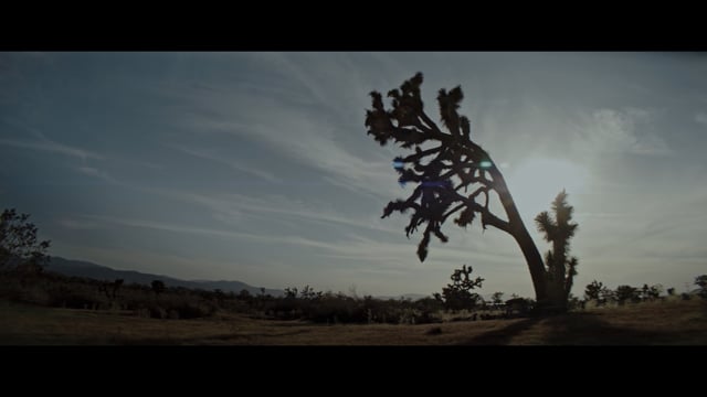 Ruby Red Trailer