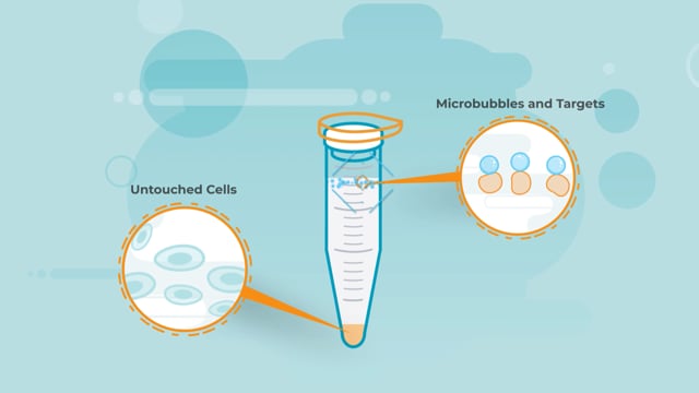 Working with Microbubbles: Aspiration Best Practices