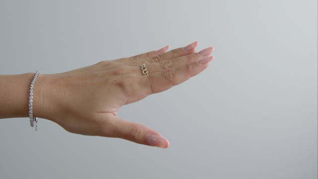 Curb Chain Ring - Video