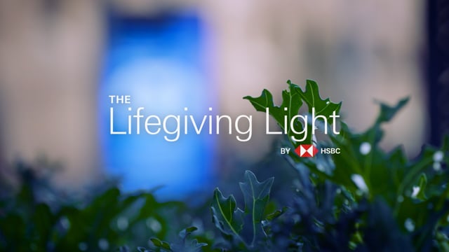 The Lifegiving Light