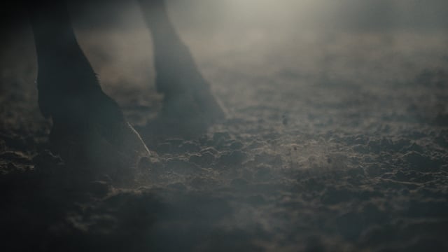 Audi – Bred for Track