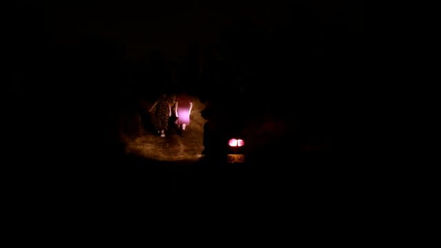 ‘Intentos por dejarse caer dentro’ Trailer.
