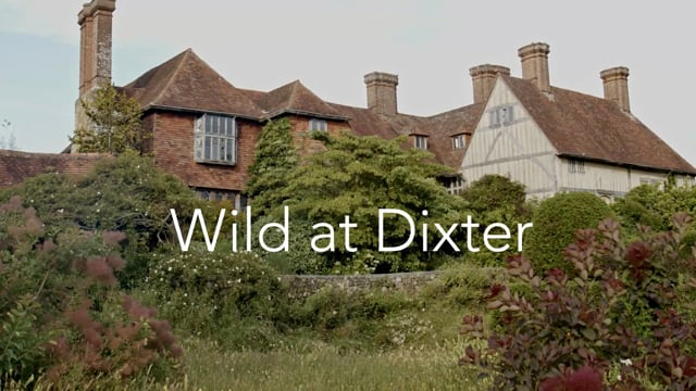 Wild at Dixter