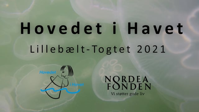 Hovedet i Havet - Lillebælt-togtet 2021