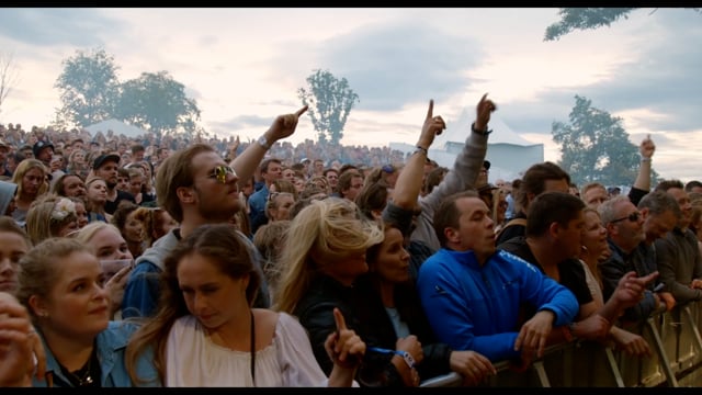 Vervenfestivalen (1080P)