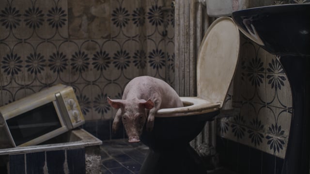Snow White Dies at the End - Trailer
