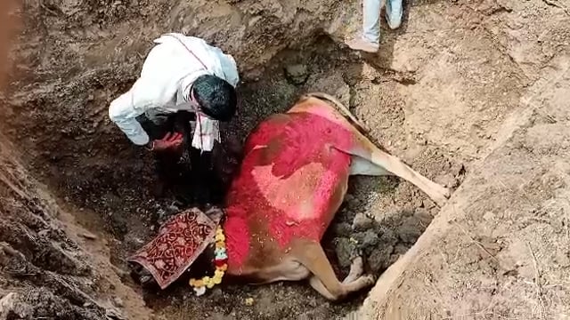 एका मुस्लिम कुटुंबाने मानवतेचा आदर्श घालून दिला